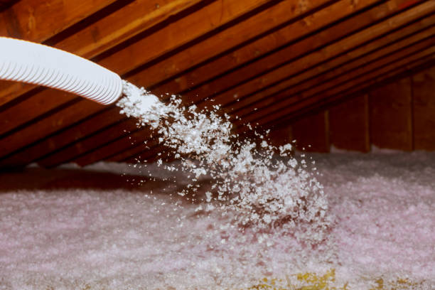 Best Spray Foam Insulation in Atwood, IL