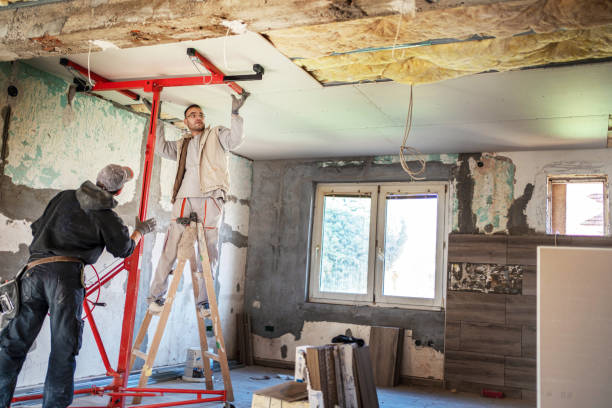 Best Spray Foam Insulation in Atwood, IL