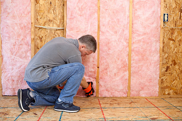 Best DIY Insulation Kits and Guidance in Atwood, IL