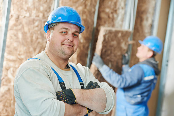 Best Residential Insulation in Atwood, IL